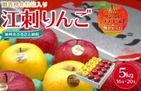 江刺りんご（サンふじ・シナノゴールド）  贈答用化粧箱入 5kg【12月お届け】