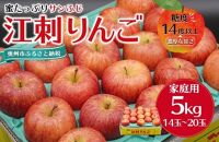 江刺りんご サンふじ 家庭用 5kg【12月中旬お届け】