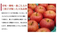 【数量限定】江刺りんご サンふじ 10kg（28～40玉）【2024年12月中旬お届け】特品 訳あり 糖度14度以上 ブランドフルーツ 林檎 果物 くだもの 家庭用 リンゴ