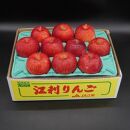 【数量限定】江刺りんご 紅ロマン 2.3kg（8～11玉）【８月下旬以降お届け】