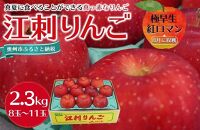 江刺りんご 紅ロマン 2.3kg（8～11玉）