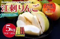 【数量限定】江刺りんご サンつがる・黄王 5kg（16～20玉）【９月中旬以降お届け】