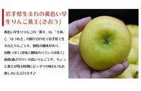 【数量限定】江刺りんご サンつがる・黄王 5kg（16～20玉）【９月中旬以降お届け】