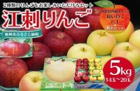 奥州市産りんご（紅いわて）と江刺りんご（トキ）のセット 5kg（14～20玉）