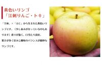【数量限定】江刺りんご ジョナゴールド・トキ 5kg（16～20玉）【10月中旬以降お届け】