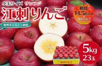 江刺りんご サンふじ 小玉 5kg（23玉）果物 くだもの リンゴ