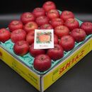 【数量限定】江刺りんご サンふじ 小玉 5kg（23玉）果物 くだもの リンゴ