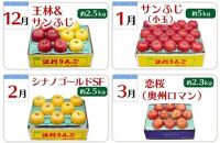 【数量限定】奥州市のりんご定期便・８回（8月～3月） 江刺りんごや新ブランドの食べ比べコース