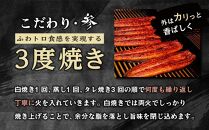 【有田川町×湯浅町】うなぎ蒲焼2本＆角長特製蒲焼タレ1本セット