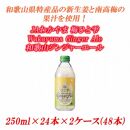 和歌山ジンジャーエール 250ml ×24本×2ケース(48本)JAわかやま 梅ひと雫 Wakayama Ginger Ale