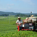【ポイント交換専用】日常茶におすすめ&nbsp;茶銘&nbsp;近江路&nbsp;1kg&nbsp;【約333杯分】