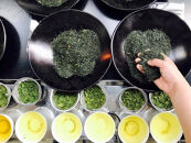 【ポイント交換専用】滋賀県産【合計1kg日常茶セット&nbsp;煎茶・くき茶・玄米茶】