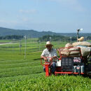 【ポイント交換専用】滋賀県産&nbsp;【はね出し玉露の茎茶】&nbsp;100g×5&nbsp;合計約166杯分