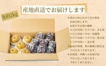 農家直送 和歌山有田の朝採り 巨峰 と 梨 大満足セット［2026年・先行予約］