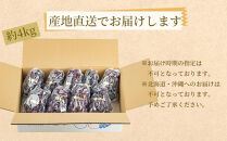 ぶどうの王様 農家直送 朝採り 巨峰 約4kg［2026年・先行予約］