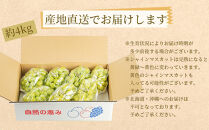 農家直送 朝採り シャインマスカット 約4kg［2026年・先行予約］