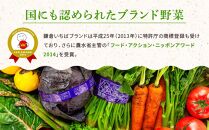 「鎌倉いちばブランド」新鮮お野菜詰め合わせセット 10～15品 | 野菜 やさい 詰合せ セット 鎌倉 神奈川