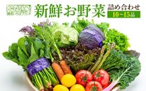 「鎌倉いちばブランド」新鮮お野菜詰め合わせセット 10～15品 | 野菜 やさい 詰合せ セット 鎌倉 神奈川