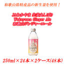 ■JAわかやま 生姜丸しぼり Wakayama Ginger Ale　和歌山ジンジャーエール 250ml×24本×2ケース(48本入)