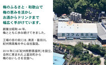 希釈用梅ドリンク 梅ハニップ 3本セット