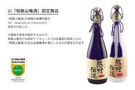 3年熟成 幻の梅酒 熊野伝説720ml 【白】