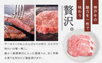 【冷蔵便】【辰屋】神戸牛 サーロインステーキ 200g×15枚