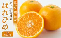 爽やかな香り！！ はれひめ ３ｋｇ　＜2024年12月下旬より発送開始＞【みかん 蜜柑 フルーツ 果物 青果 柑橘 尾道市】