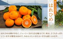 爽やかな香り！！ はれひめ ３ｋｇ　＜2024年12月下旬より発送開始＞【みかん 蜜柑 フルーツ 果物 青果 柑橘 尾道市】