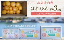爽やかな香り！！ はれひめ ３ｋｇ　＜2024年12月下旬より発送開始＞【みかん 蜜柑 フルーツ 果物 青果 柑橘 尾道市】