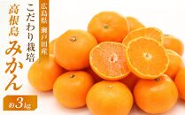 こだわり栽培　高根島みかん 3kg ＜2024年11月下旬より発送開始＞【広島県尾道市 瀬戸田　柑橘 フルーツ 果物】