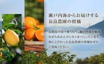 こだわり栽培　高根島みかん 3kg ＜2024年11月下旬より発送開始＞【広島県尾道市 瀬戸田　柑橘 フルーツ 果物】