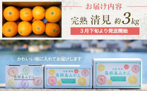 めっちゃジューシー　完熟清見3ｋｇ　＜2026年3月下旬より発送開始＞【ミカン&nbsp;みかん&nbsp;蜜柑&nbsp;フルーツ&nbsp;果物&nbsp;完熟&nbsp;青果&nbsp;柑橘&nbsp;尾道市】