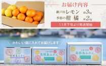 瀬戸田レモン3ｋｇと季節の柑橘2ｋｇ＜2024年11月下旬より発送開始＞【みかん レモン 檸檬  果物 フルーツ 詰め合わせ セット 人気 おすすめ 瀬戸内 広島県  尾道市】