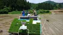 【定期便】１０kg×６ヶ月　南魚沼産コシヒカリ 井口農場 こだわりの 特別栽培米