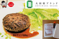 大田原市公式「大田原ブランド」認定第７号「与一和牛100％生ハンバーグ」200ｇ5個入りソース付き