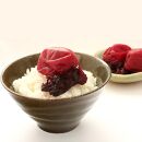 梅心（うめごころ）ながおかや 紀州花のうめ（しそ梅）330g【 梅干し 梅干 うめ 紀州 梅干し 南高梅干し 九度山町 】