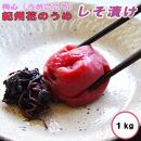 梅心（うめごころ）ながおかや 紀州花のうめ（しそ梅）１kg