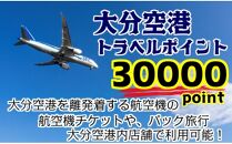 大分空港利用限定/新トラベルポイント/30000P