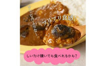 おおいたイチ押し!!豊後きのこカレー6食分_1295R