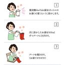 クロッツ足湯ブーツ/レッドLサイズ＆重炭酸HotTab10錠_1151R-3