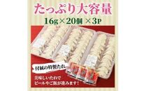 くにさき桜王豚の餃子60個/計0.96kg
