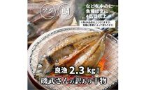 良漁2.3kg!磯武さんの訳あり干物_1020R