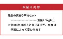 良漁2.3kg!磯武さんの訳あり干物_1020R