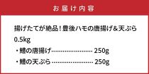 揚げたてが絶品！豊後ハモの唐揚げ＆天ぷら/0.5kg