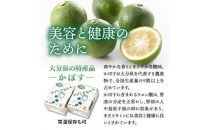 おおいたカボスで作った爽やか飲料/かぼすぐるとん32パック