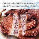 国東半島の天然地だこ三味セット/計420g_0014N