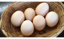 07-13「烏骨鶏卵,米,醤油」食材全てに拘った卵かけご飯セット