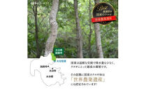 煙がなく匂わない！&nbsp;こだわり炭職人の国東木炭&nbsp;10kg（5kg×2箱）&nbsp;少煙&nbsp;匂いなし&nbsp;アウトドア&nbsp;バーベキュー&nbsp;焼肉&nbsp;野外&nbsp;キャンプ&nbsp;炭火_0510Z