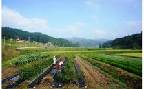 30-1国東半島の農家民泊で田舎暮らし体験※食事付き宿泊券２名分