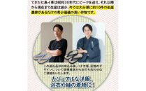 A29217&nbsp;呉服屋さんの七島イ雪駄（男性用フリーサイズ）・通